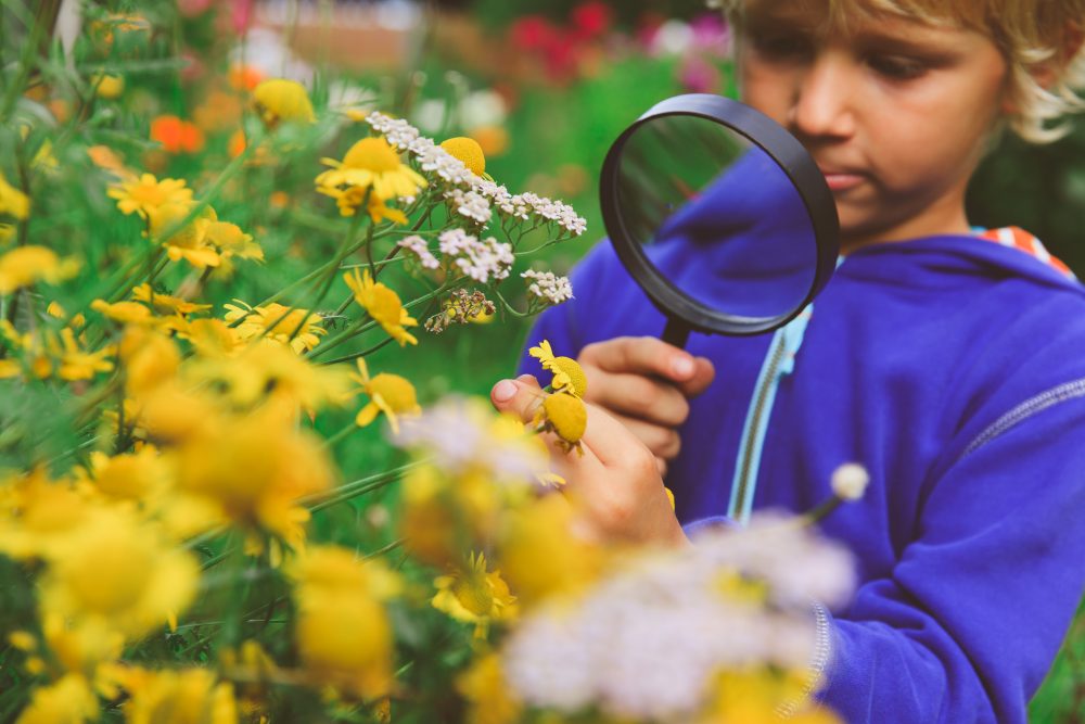 Colour with Nature (ages 5-9)