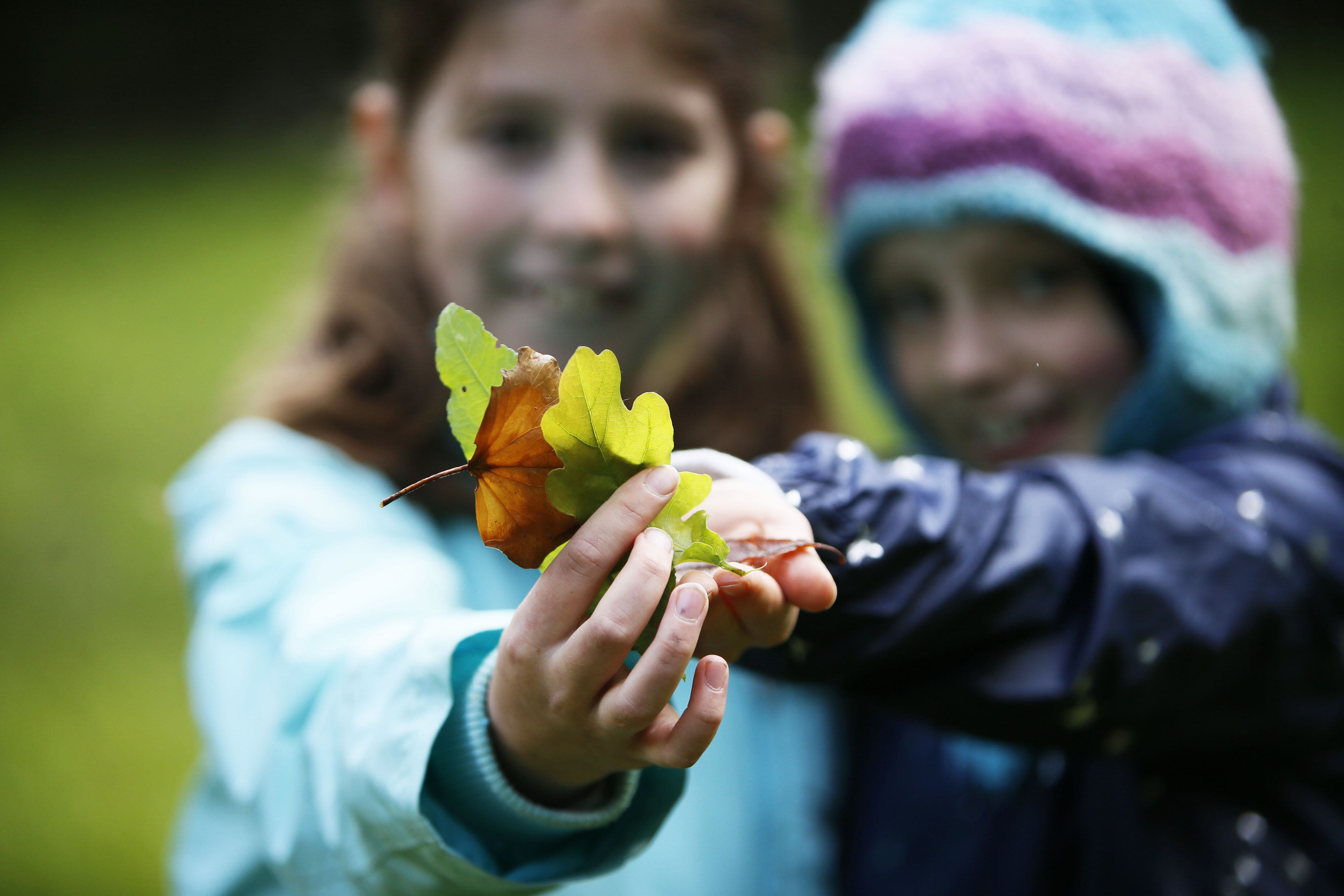 Stansfeld Conservation Day