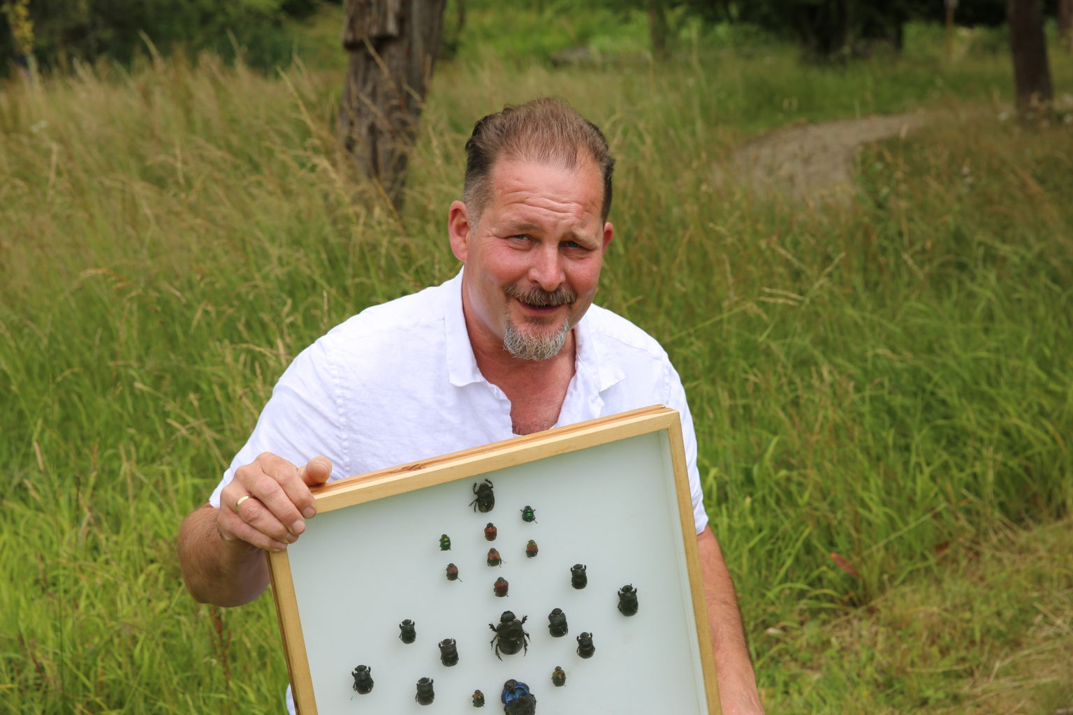 Celebrating Insects A bug's life - celebrating Insect Week - Science Oxford