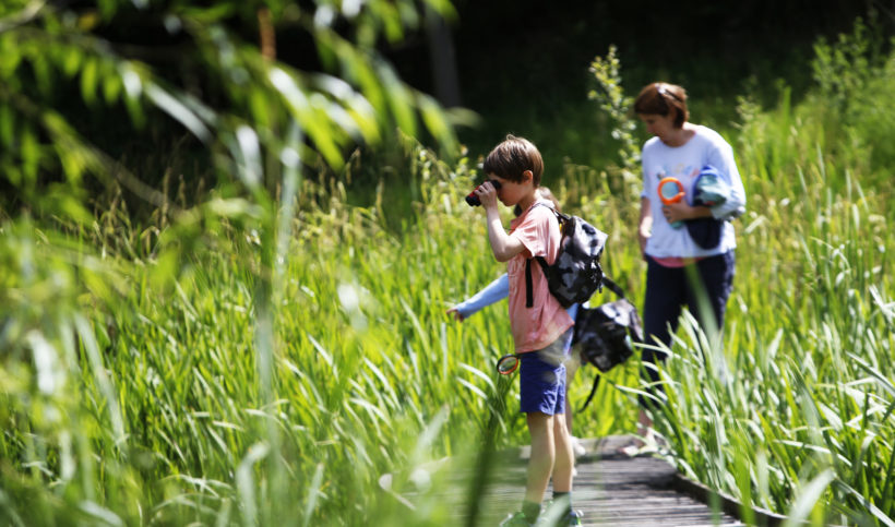 Summer outdoor pond image