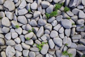 pile of stones with plants growing between stones