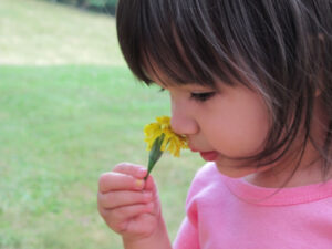 Child smells spring flower