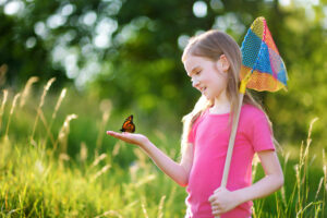 child with butterfly and sweep net in a field