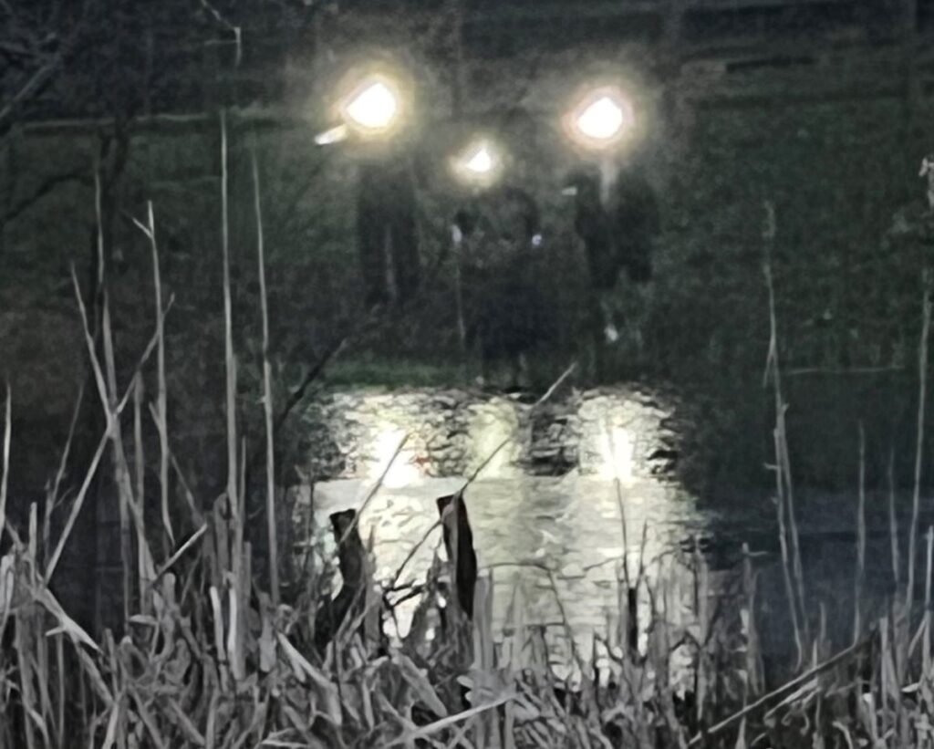 3 people shining torches onto pond in foreground in dark