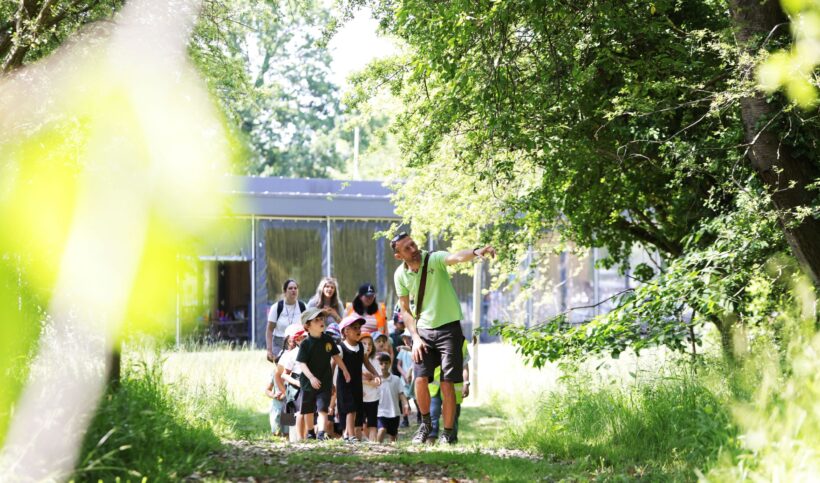 Group of young school children in woodland with 2 teachers, and man pointing for them to look at something