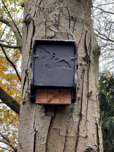 Rectangular bat box secured to tree