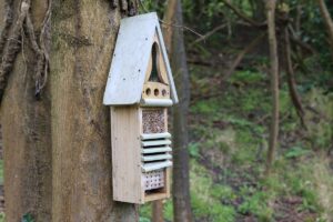 bug hotel, a wooden box with various size and shape holes, erected on a tree